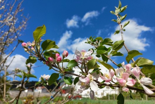 Hablando con Guillermo Rodríguez